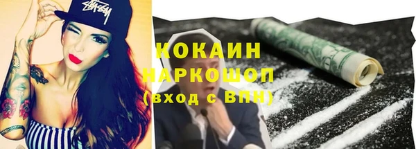 прущие грибы Краснотурьинск