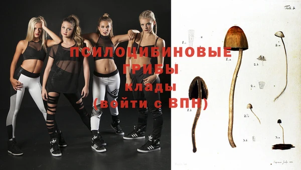 прущие грибы Краснотурьинск
