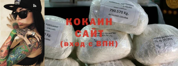 прущие грибы Краснотурьинск