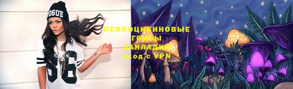 ПСИЛОЦИБИНОВЫЕ ГРИБЫ Красноперекопск