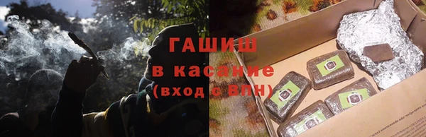 прущие грибы Краснотурьинск