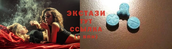 прущие грибы Краснотурьинск