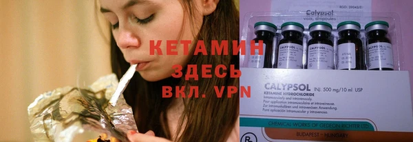 прущие грибы Краснотурьинск