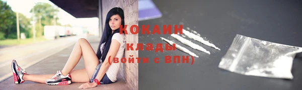 прущие грибы Краснотурьинск