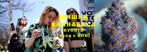 прущие грибы Краснотурьинск