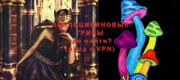 прущая мука Краснослободск