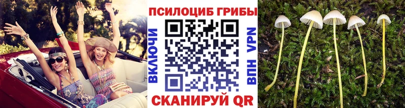 Псилоцибиновые грибы GOLDEN TEACHER  Купить закладки  Верхняя Тура 